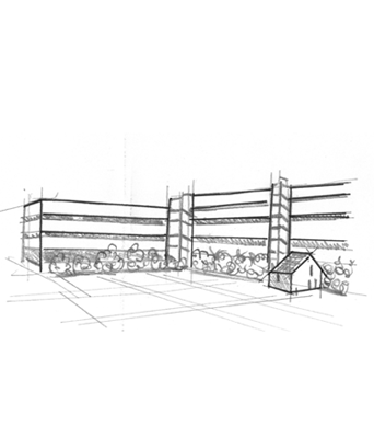 Universit&agrave; di Salerno - Disegno &copy; Roberta Coralluzzo alkestudio.it