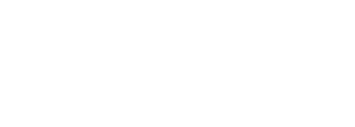 logo Tempi Moderni